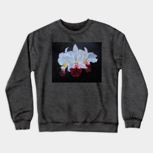 Cattleya Orchid 1 Crewneck Sweatshirt